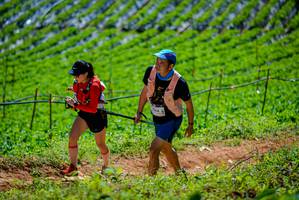 BIB: 
                            <button type="button" onclick="openModal(19164358)" class="btn btn-primary btn-sm float-right btn-popup" data-toggle="modal" data-target=".modal-high-quality">
                        <i class="fas fa-shopping-cart"></i> Add to Cart
                    </button>
                                            <button type="button" onclick="isThisMe(19164358, true)" class="btn btn-success btn-sm float-right btn-popup btn-isme hidden" data-toggle="tooltip" data-placement="bottom" title="นี่คือรูปของคุณใช่ไหม คลิกที่นี่เพื่อเอาเข้าอัลบั้ม">
                        <i class="fas fa-plus"></i> Add to album
                    </button>
                    <button type="button" onclick="isThisMe(19164358, false)" class="btn btn-warning btn-sm float-right btn-popup btn-isnotme hidden">
                        <i class="fas fa-ban"></i> Remove from album
                    </button>